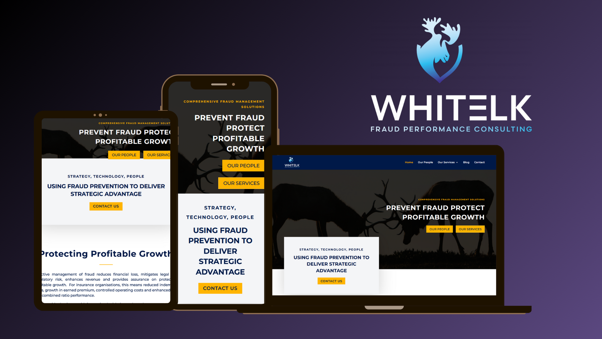 WhitElkConsulting
